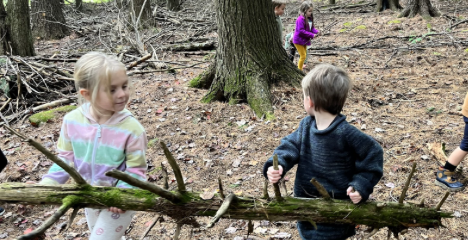 Preschool Exploration in the Woods